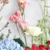 Những loài hoa đẹp nhất thế giới làm say lòng người