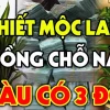 Cây Thiết Mộc Lan Trước Nhà: Có Nên Trồng và Ý Nghĩa Phong Thủy