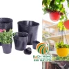 Chậu Nhựa Trồng Cây Cảnh: Lựa Chọn Tối Ưu Cho Vườn Nhà Bạn Năm 2026