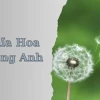 Hoa Bồ Công Anh: Ý Nghĩa Sâu Sắc và Truyền Thuyết Đằng Sau