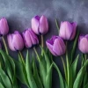 Hoa Tulip Tím Có Ý Nghĩa Gì? Khám Phá Sâu Sắc Vẻ Đẹp & Biểu Tượng