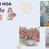 Hướng dẫn Cắm Hoa Thanh Liễu Đẹp và Sang Trọng Tại Nhà