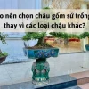 Khám phá thế giới chậu gốm sứ trồng cây: Vẻ đẹp tinh tế cho không gian xanh