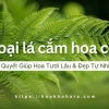 Khám phá thế giới lá cắm hoa: Bí quyết tạo điểm nhấn cho bình hoa thêm sống động