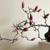 Khám phá ý nghĩa hoa Mộc Lan và giá trị phong thủy