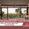 Mệnh Thủy Nên Trồng Cây Gì Trong Nhà Để Thu Hút Vận May 2026