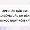 Nghệ thuật trang trí đồ gia dụng: Biến không gian sống thêm sinh động