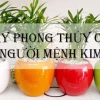 Nữ Mệnh Kim Trồng Cây Gì Trong Nhà Để Mang Lại May Mắn, Tài Lộc 2026?