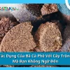 Tác dụng của bã cà phê với cây trồng: Hướng dẫn chi tiết