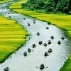 Vẻ Đẹp Quê Hương Việt Nam: Khám Phá Di Sản Thiên Nhiên Hùng Vĩ