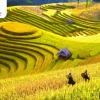 Vẻ Đẹp Say Đắm Của Sa Pa Mùa Xuân: Khám Phá 6 Điểm Chiêm Ngưỡng Tuyệt Vời
