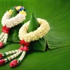 Ý nghĩa hoa nhài: Biểu tượng của tình yêu, sự thuần khiết và may mắn