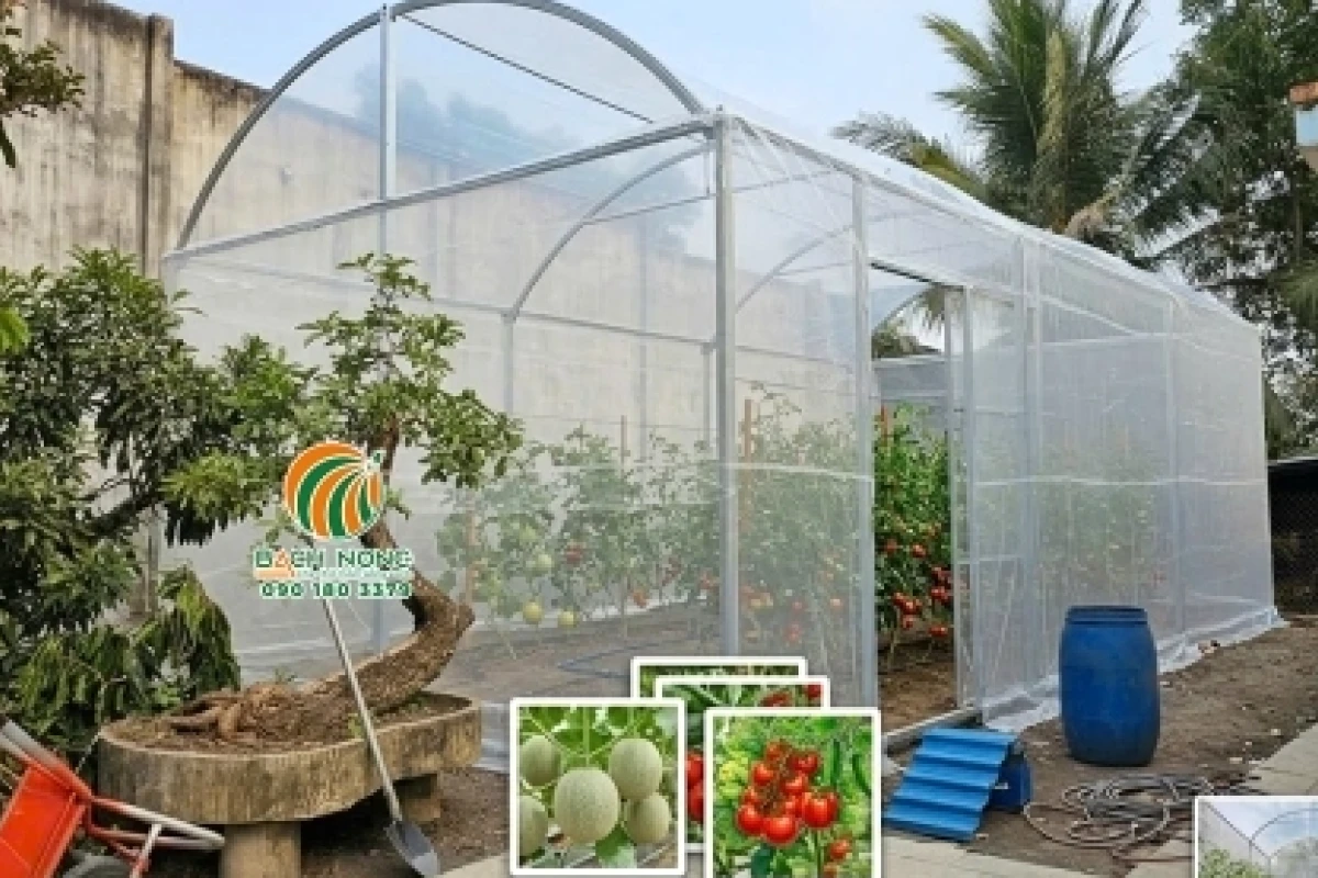 Trồng cây trong nhà kính: Bí quyết tối ưu năng suất và chất lượng