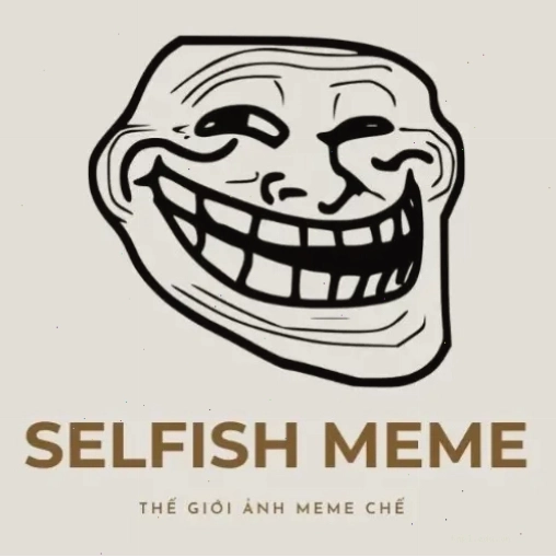 Ảnh đại diện nhóm 4 người theo phong cách meme độc đáo