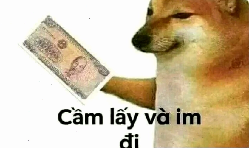 Ảnh meme hài hước 2025