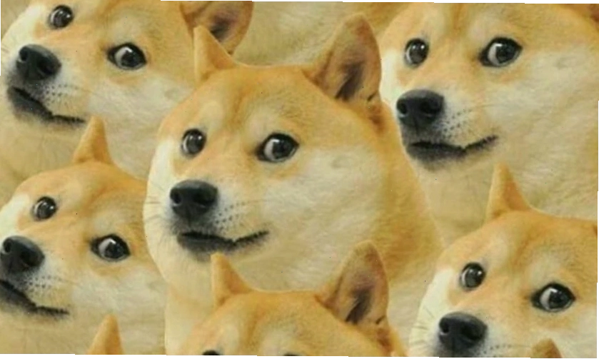 Ảnh Meme hài hước