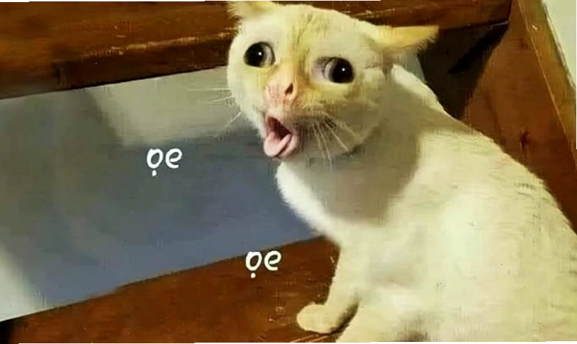 Ảnh Meme hài hước, vui nhộn