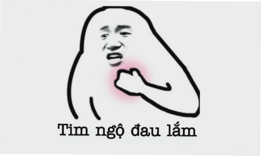 Ảnh meme mèo bựa hài hước 2025