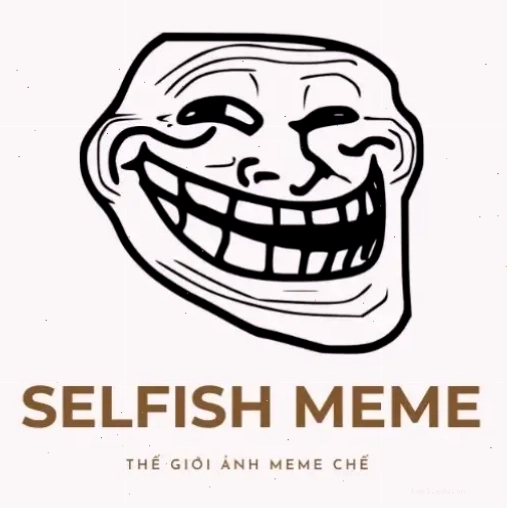 Ảnh minh họa meme gấu trúc bựa