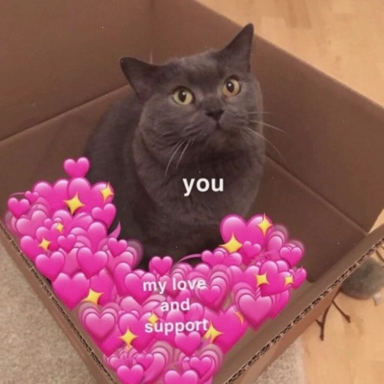 Avatar meme mèo cực kỳ dễ thương và ngộ nghĩnh