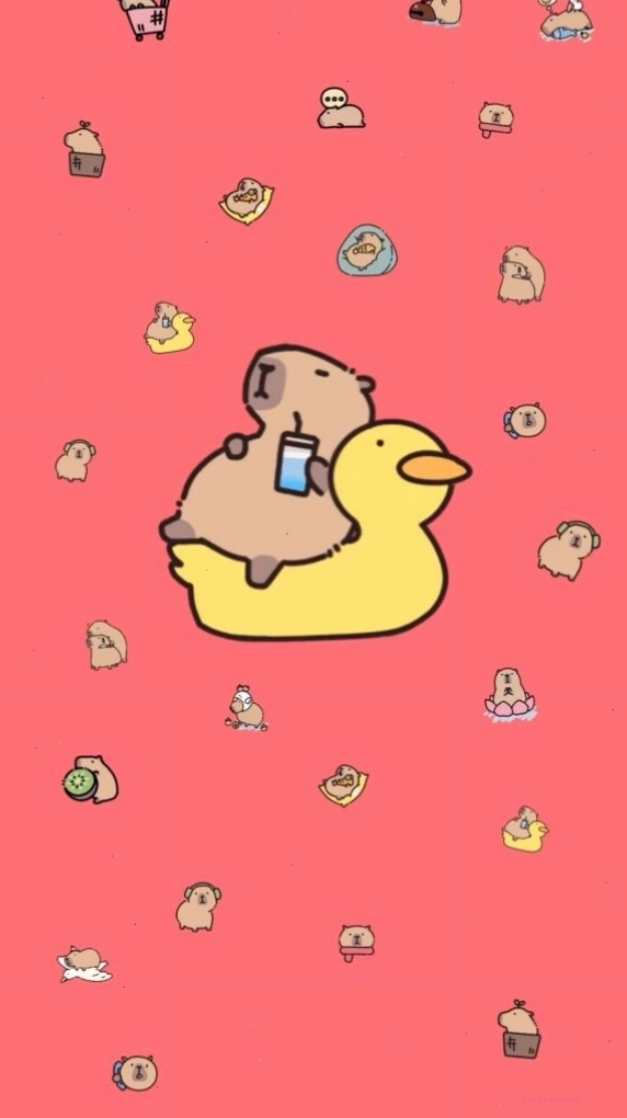 Avatar vô tri cute Capybara thư giãn trên phao vịt