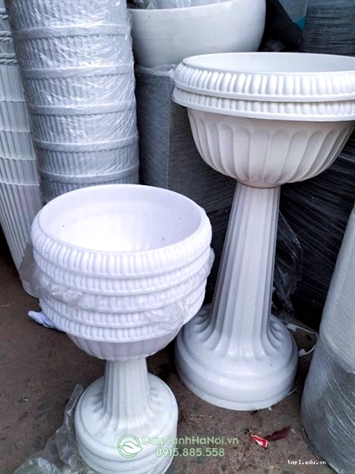 Bán chậu nhựa ly có chân đế số lượng lớn
