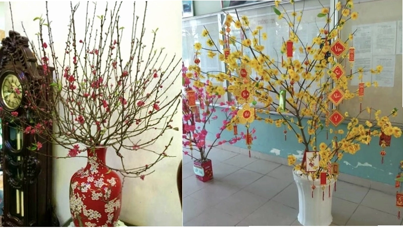 Bình hoa đào, mai rực rỡ ngày Tết