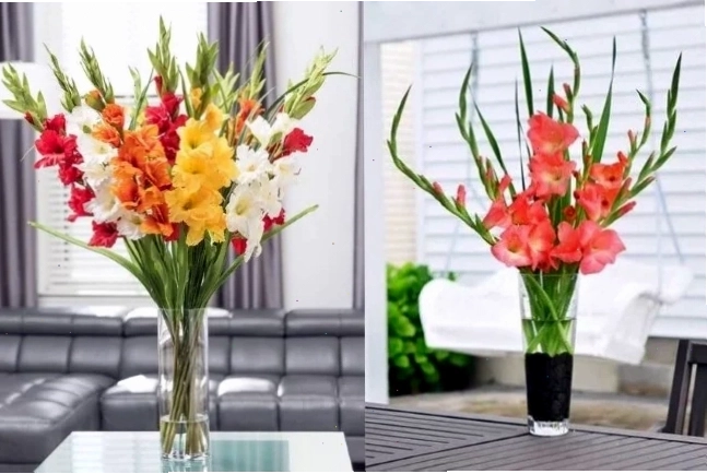 Bình hoa lay ơn rực rỡ ngày Tết