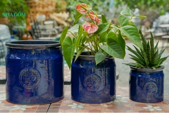 Bộ ba sản phẩm chậu logo xanh cobalt, chậu men trồng cây