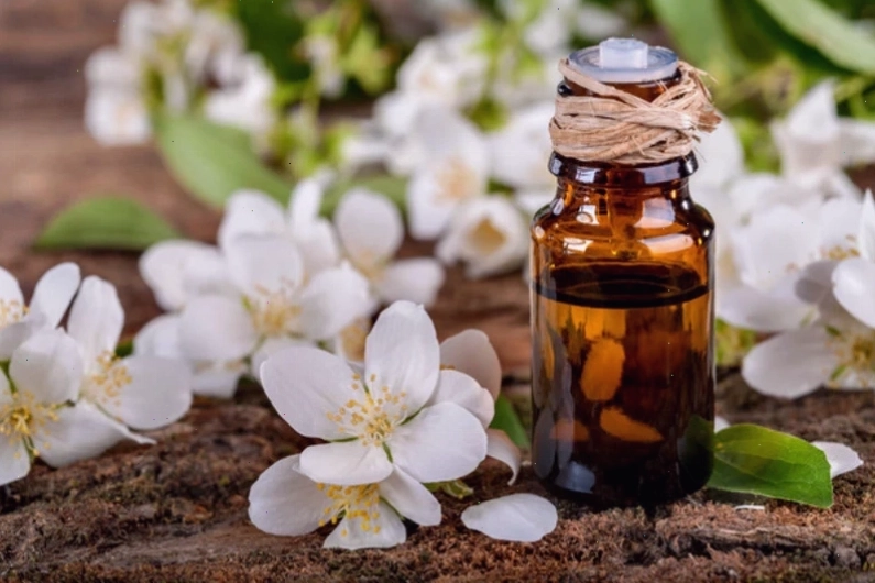 Bó hoa nhài trắng được gói cẩn thận