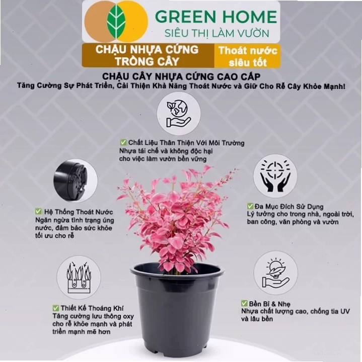 Bộ sưu tập chậu nhựa trồng cây cảnh với nhiều màu sắc khác nhau