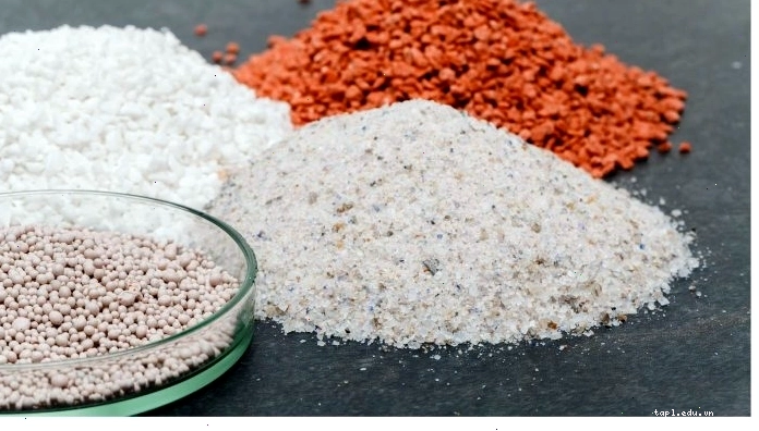 Bón phân đúng cách cho cây Thiết Mộc Lan theo từng giai đoạn