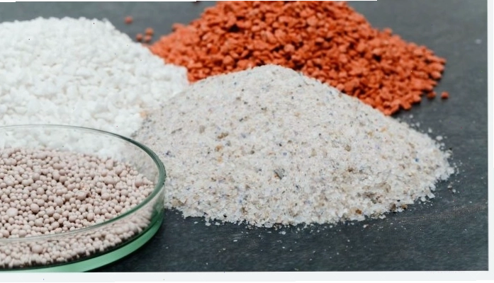 Bón phân đúng cách giúp cây thiết mộc lan phát triển tốt và ra hoa đẹp