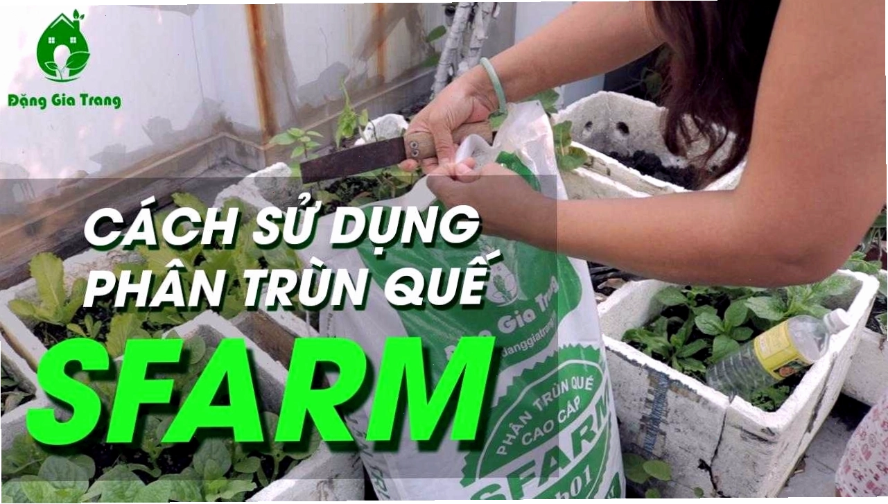 Cách sử dụng phân trùn quế SFARM để bón cho cây