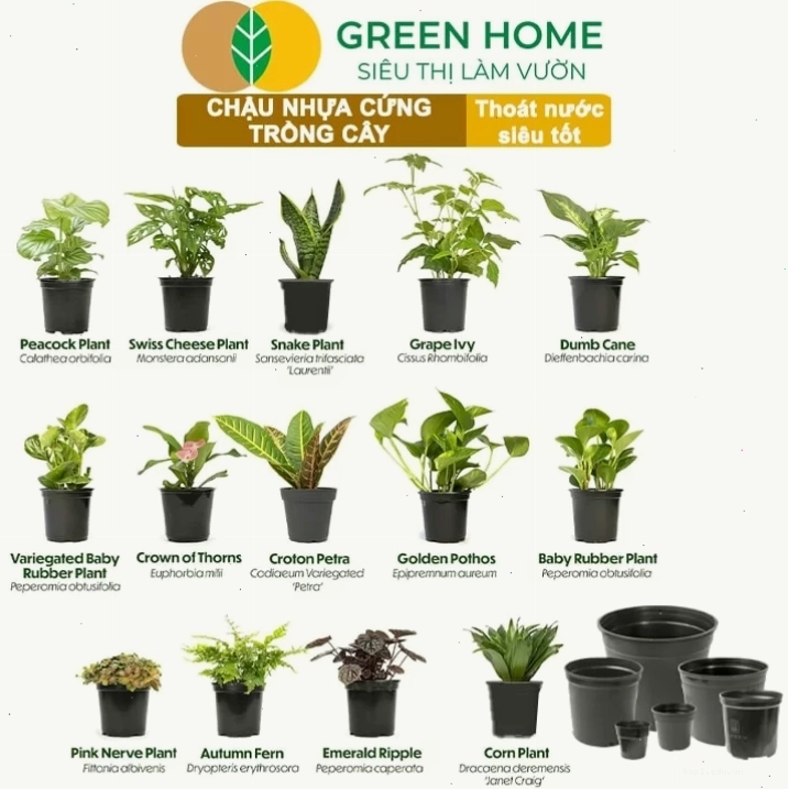 Cận cảnh đáy chậu nhựa trồng cây với nhiều lỗ thoát nước