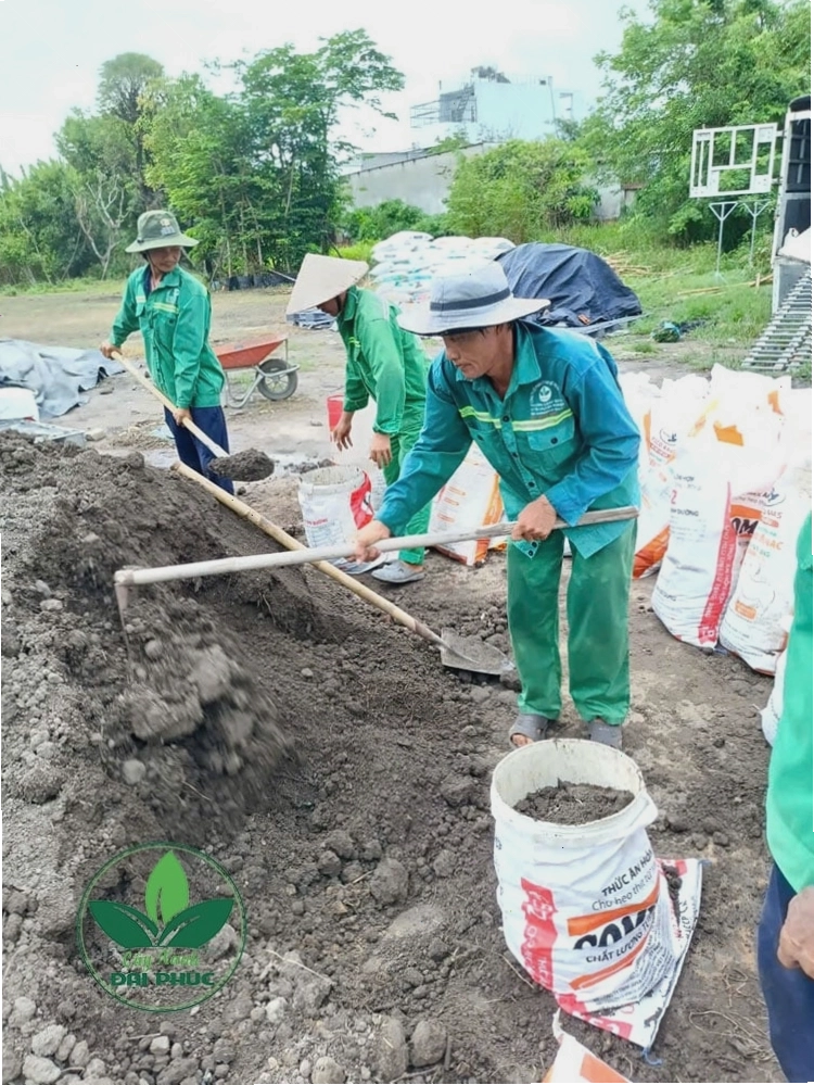 Cận cảnh kết cấu tơi xốp của đất thịt tự nhiên đóng bao