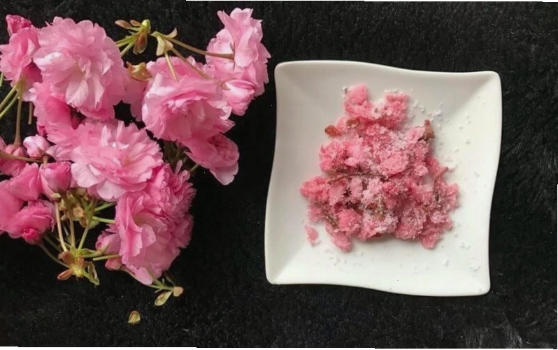 Cánh hoa anh đào mỏng manh, tinh tế