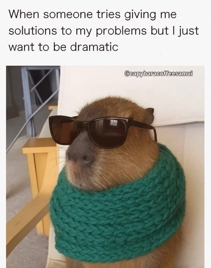 Capybara meme với nhiều phiên bản sticker và GIF