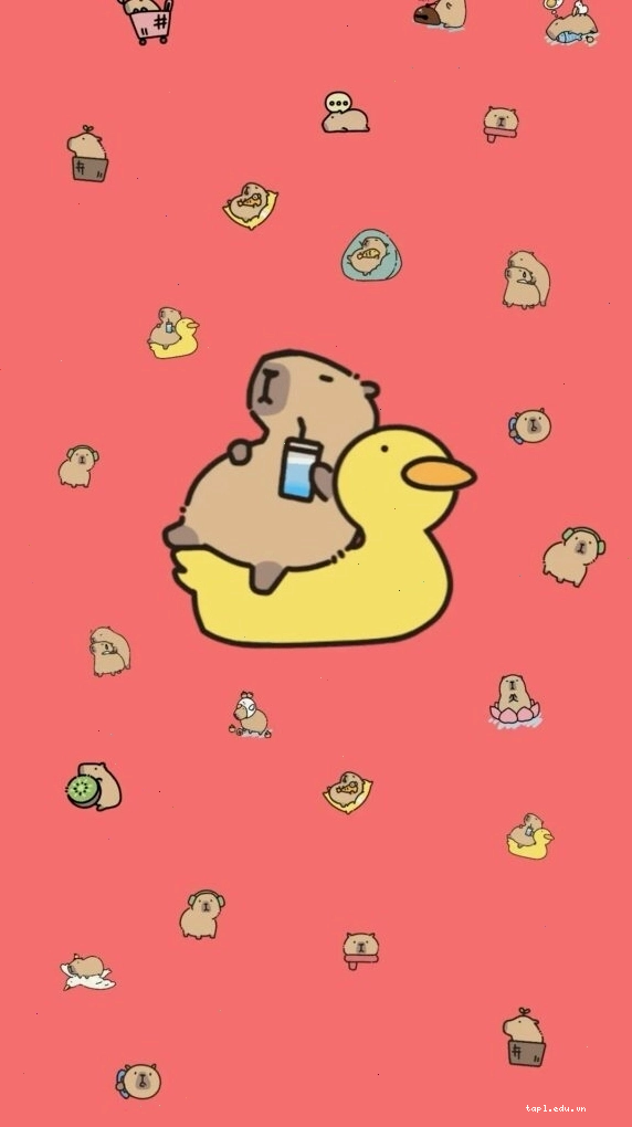 Capybara thư giãn trên phao vịt