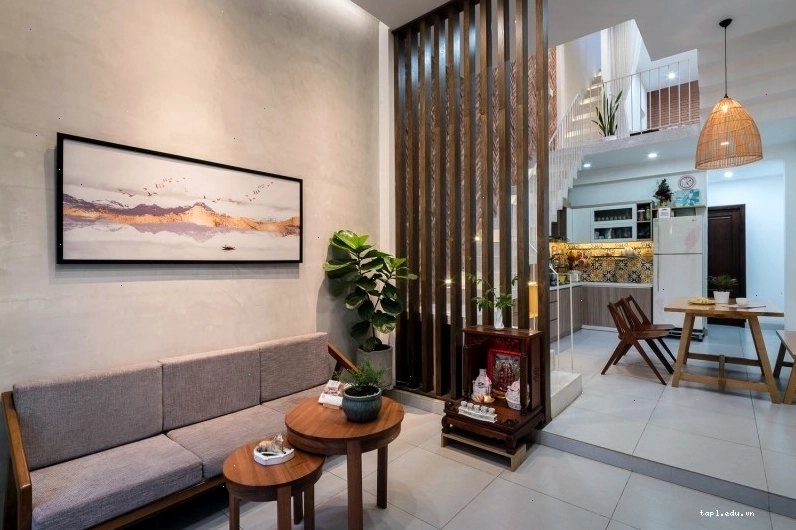 Cây bàng Singapore đặt trong phòng khách tạo điểm nhấn hiện đại