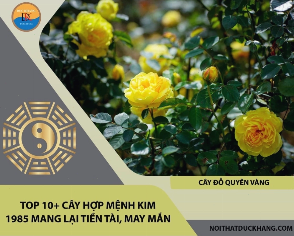 Cây cảnh trước nhà màu trắng vàng hợp mệnh Kim tuổi 1985