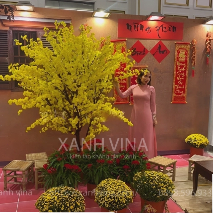 Cây hoa mai giả đẹp như thật dùng để trang trí nhà cửa ngày Tết