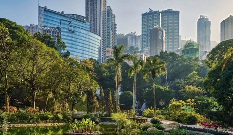 Chăm sóc cây xanh trước nhà