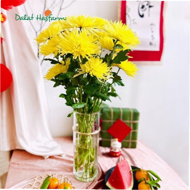 Chậu hoa cúc vàng trang trí ngày Tết