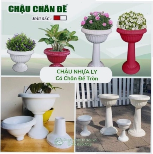 Chậu ly nhựa có chân đế tròn trồng cây cảnh