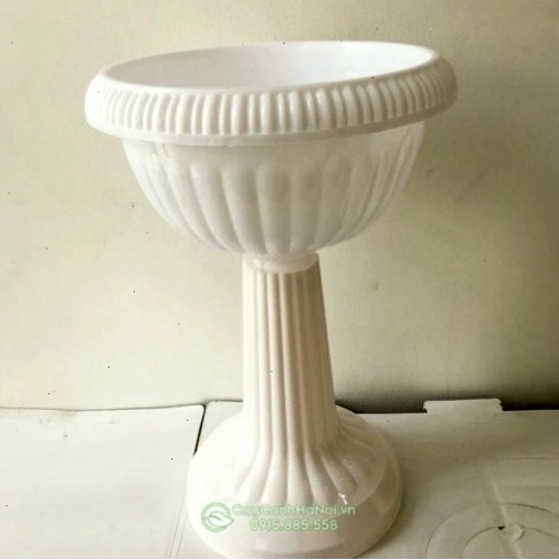 Chậu nhựa ly có chân đế dễ dàng tháo lắp