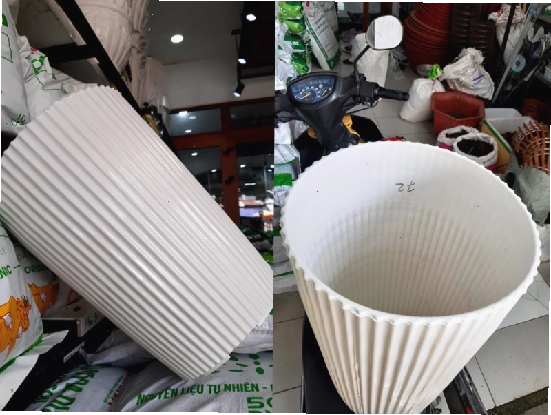 Chậu nhựa trắng kiểu dáng trụ hiện đại đặt trong phòng khách