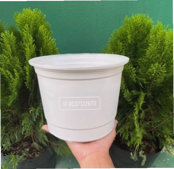 Chậu nhựa trắng vành cứng kích thước 18cm phù hợp trồng nhiều loại cây cảnh