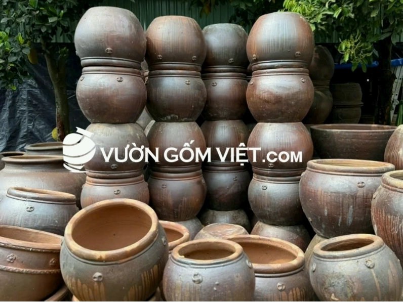 Chậu trồng cây decor sân vườn