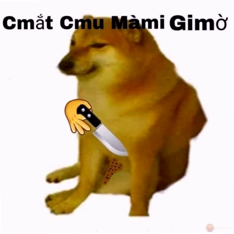 Cheems meme Việt Nam với các tình huống hài hước đời thường